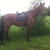 2nd & 3rd Level Schoolmaster