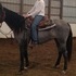 2 year old Azteca Mare