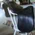 PASSIER GT XW SADDLE - EC!! $275