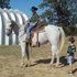 KID SAFE, 1/2 arab mare