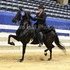 Gorgeous Talented Kind Black Show Mare!!