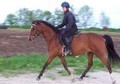 Delightful, willing, forward gorgeous show stopper