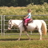 Every childs dream pony