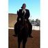Stunning Thoroughbred Gelding *video link*