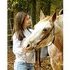 Nice Trail Horse for Adoption..................