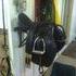 All Purpose Saddle