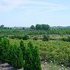 359 Acres of Pristine Land