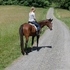 16h ,tb g, 7yrs quiet in ring safe on trails nice guy