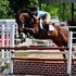 AMAZING TB with tons of show experience MUST SELL!!!!!