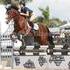 Amazzzing Jumper Pony
