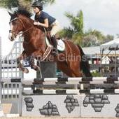 Amazzzing Jumper Pony