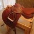Dominus Saddle