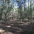 Great 5 Acre Homesite