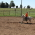 Very Nice Barrel Horse Mare