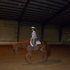 Trot