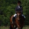 Duke at a show