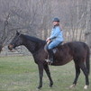 Sage 2012