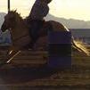 Go Man Gold Rush