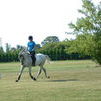 King schooling