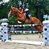 Thunder quarter pony