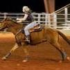 2005 AQHA 2-3D gelding