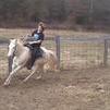 Round pen training