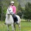 Arabian mare offered now