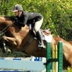 Quinte jumping