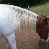 Rio's wavy locks