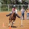 APHA FOR SALE