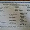 Mullah's Papers
