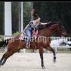 Barrel race