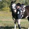 Going Fox hunting