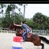 Barrel racing