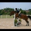 Jumping