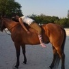 Jumping
