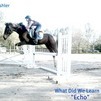 5yo 3' jumper- tons of potential 
