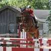 Horse Show