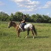 Alexis riding Rhody