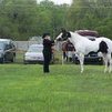 Showmanship