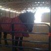 My blanket is nice and warm