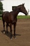 Standing