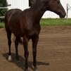 Standing