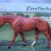Rusty's grand sire