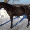 January 2013