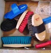 Mane and Tail Maintenance