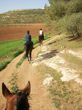 Thanksgiving Hack