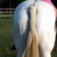 How to Braid a Tail