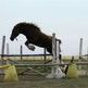 How to Evaluate a Horse’s Jump