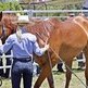 Keeping Track of Training